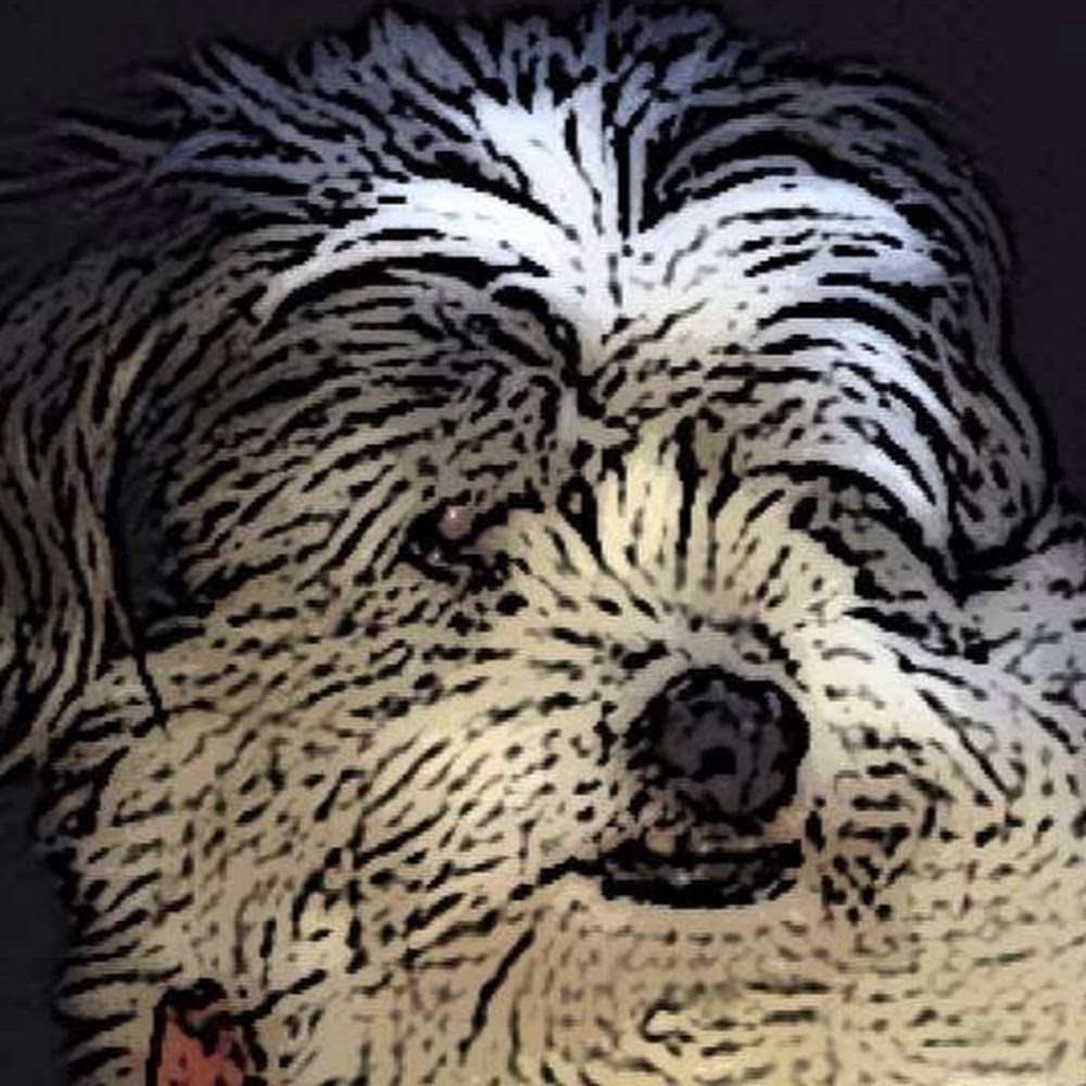 Meet your Posher, June